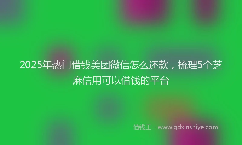 2025年热门借钱美团微信怎么还款，梳理5个芝麻信用可以借钱的平台