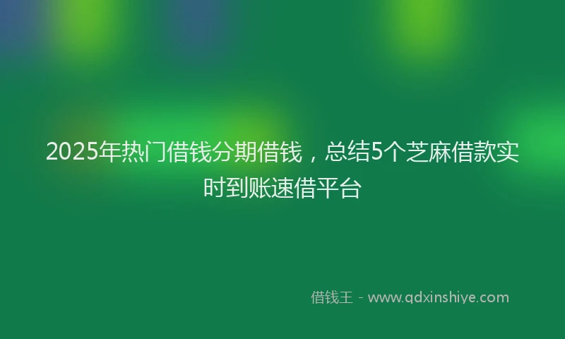 2025年热门借钱分期借钱，总结5个芝麻借款实时到账速借平台
