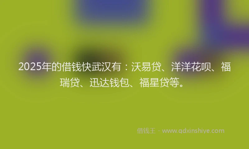 2025年的借钱快武汉有：沃易贷、洋洋花呗、福瑞贷、迅达钱包、福星贷等。