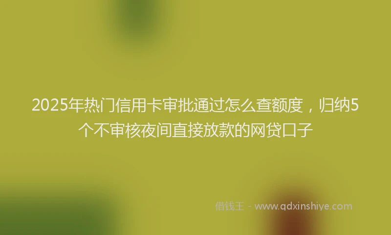 2025年热门信用卡审批通过怎么查额度，归纳5个不审核夜间直接放款的网贷口子