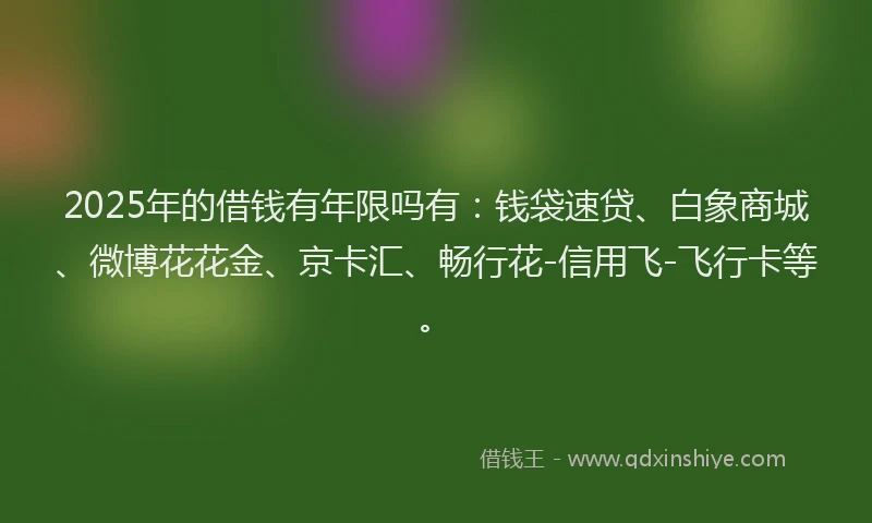 2025年的借钱有年限吗有：钱袋速贷、白象商城、微博花花金、京卡汇、畅行花-信用飞-飞行卡等。