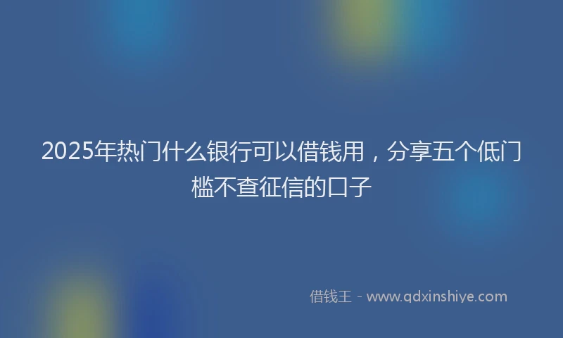 2025年热门什么银行可以借钱用，分享五个低门槛不查征信的口子