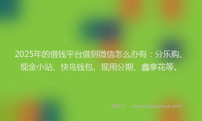 2025年的借钱平台借到微信怎么办有：分乐购、现金小站、快鸟钱包、现用分期、鑫享花等。