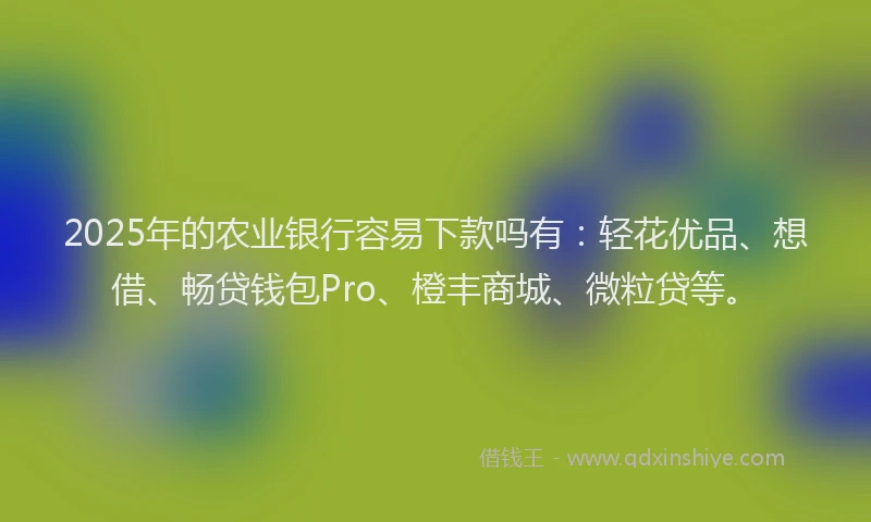 2025年的农业银行容易下款吗有：轻花优品、想借、畅贷钱包Pro、橙丰商城、微粒贷等。