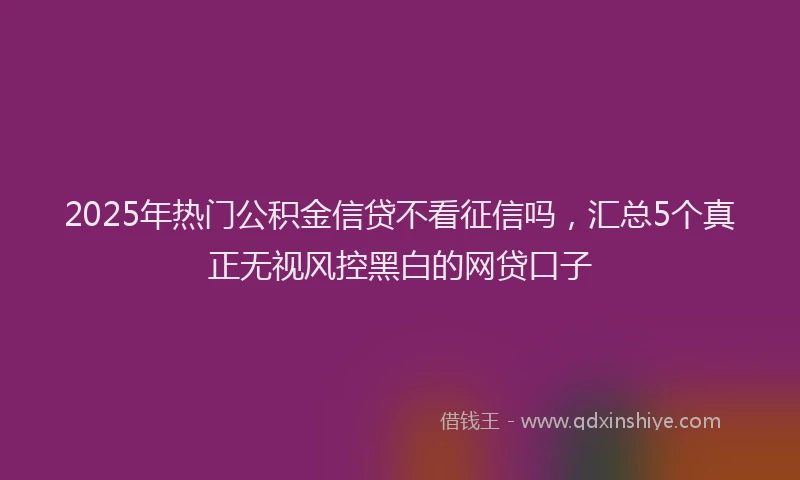 2025年热门公积金信贷不看征信吗，汇总5个真正无视风控黑白的网贷口子