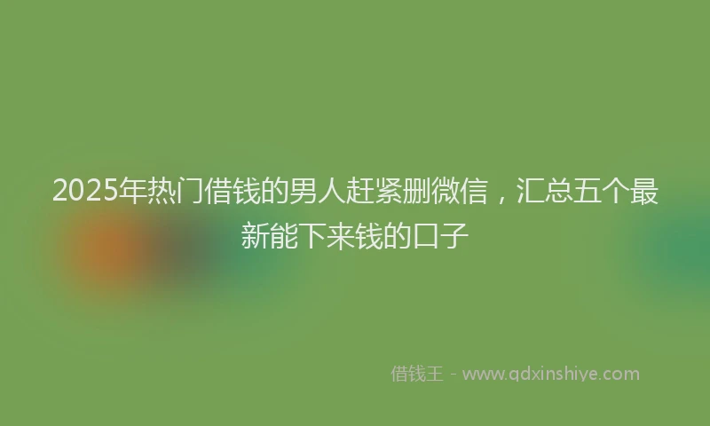 2025年热门借钱的男人赶紧删微信，汇总五个最新能下来钱的口子