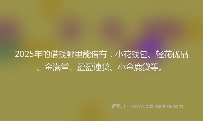 2025年的借钱哪里能借有：小花钱包、轻花优品、金满堂、盈盈速贷、小金鹿贷等。