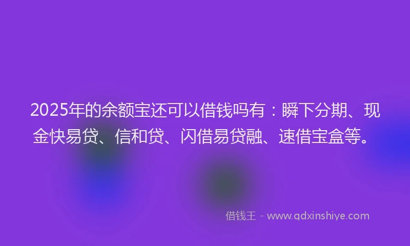 2025年的余额宝还可以借钱吗有：瞬下分期、现金快易贷、信和贷、闪借易贷融、速借宝盒等。