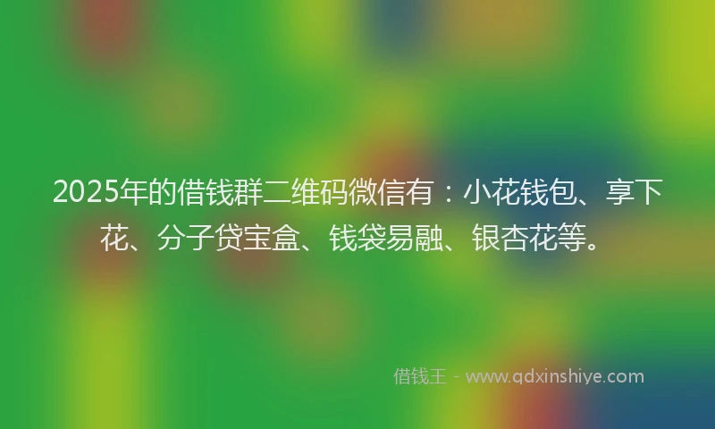 2025年的借钱群二维码微信有：小花钱包、享下花、分子贷宝盒、钱袋易融、银杏花等。