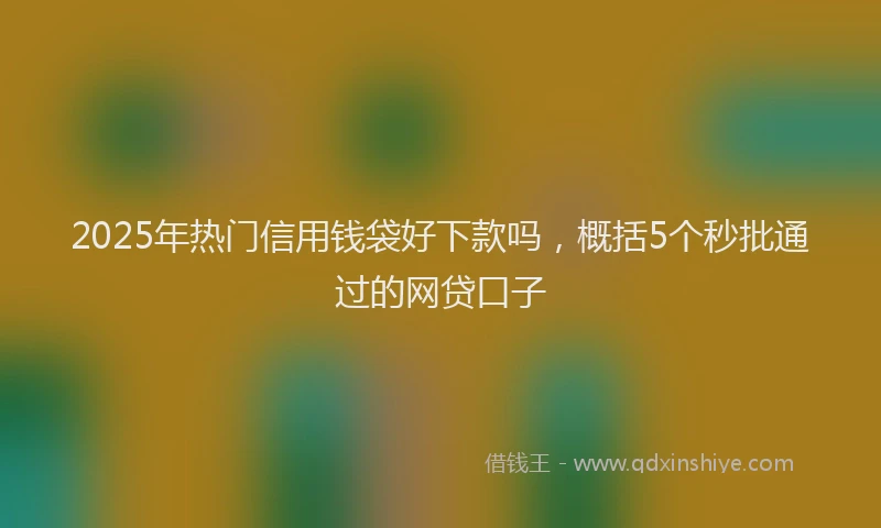 2025年热门信用钱袋好下款吗，概括5个秒批通过的网贷口子