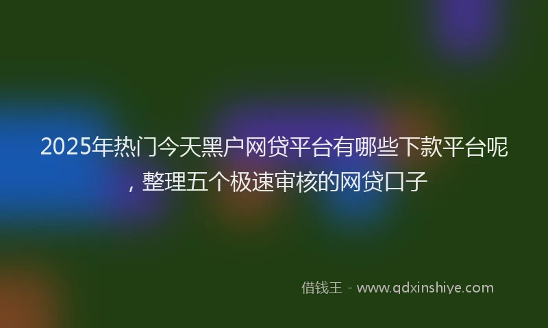 2025年热门今天黑户网贷平台有哪些下款平台呢，整理五个极速审核的网贷口子