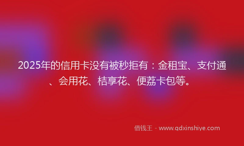2025年的信用卡没有被秒拒有：金租宝、支付通、会用花、桔享花、便荔卡包等。