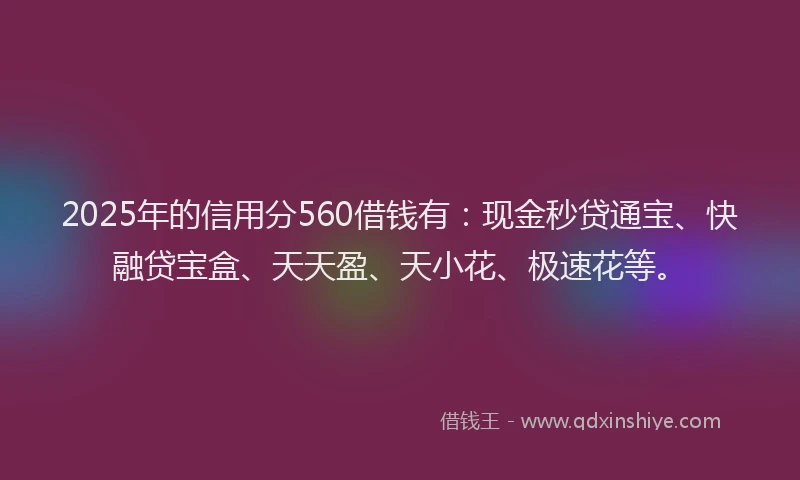 2025年的信用分560借钱有：现金秒贷通宝、快融贷宝盒、天天盈、天小花、极速花等。