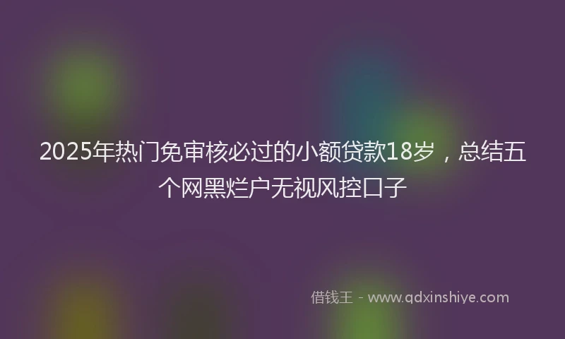 2025年热门免审核必过的小额贷款18岁，总结五个网黑烂户无视风控口子
