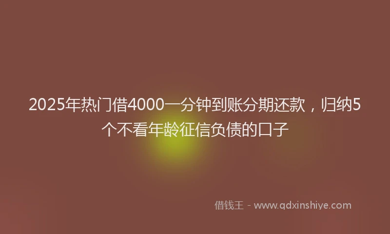 2025年热门借4000一分钟到账分期还款，归纳5个不看年龄征信负债的口子