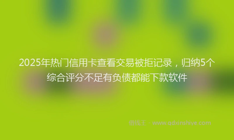2025年热门信用卡查看交易被拒记录，归纳5个综合评分不足有负债都能下款软件