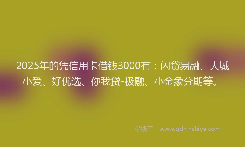 2025年的凭信用卡借钱3000有：闪贷易融、大城小爱、好优选、你我贷-极融、小金象分期等。