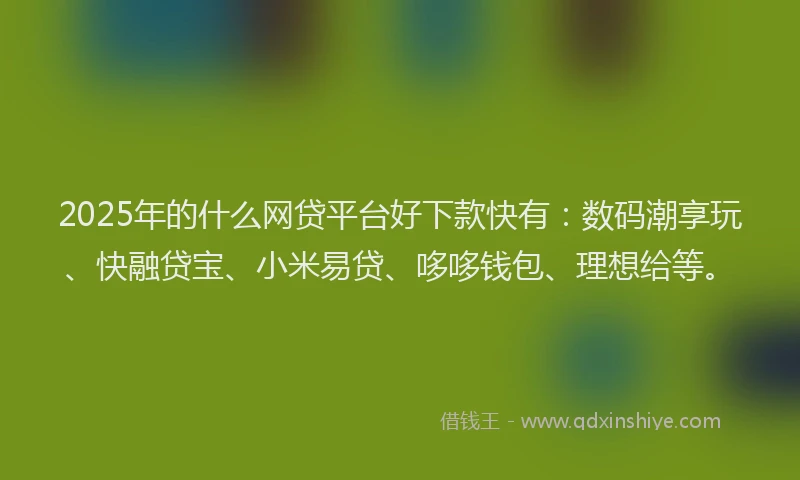 2025年的什么网贷平台好下款快有：数码潮享玩、快融贷宝、小米易贷、哆哆钱包、理想给等。