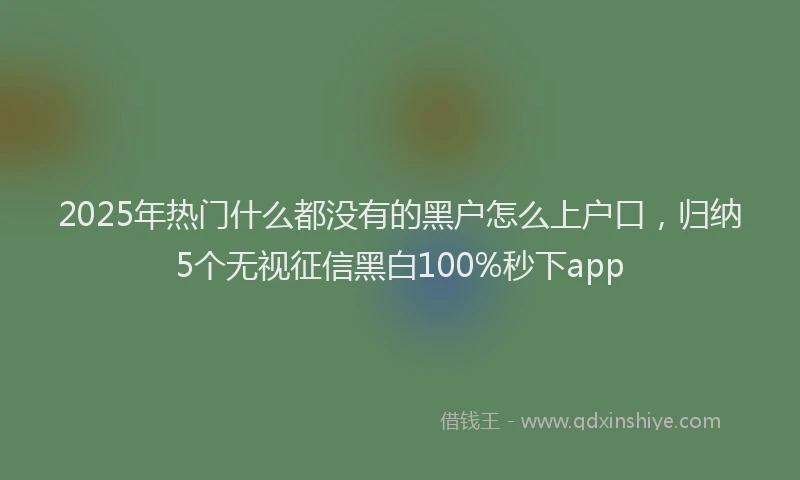 2025年热门什么都没有的黑户怎么上户口，归纳5个无视征信黑白100%秒下app