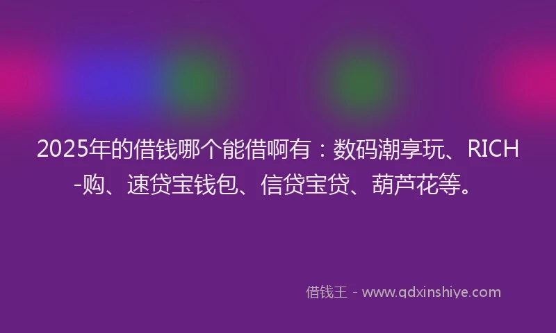 2025年的借钱哪个能借啊有：数码潮享玩、RICH-购、速贷宝钱包、信贷宝贷、葫芦花等。