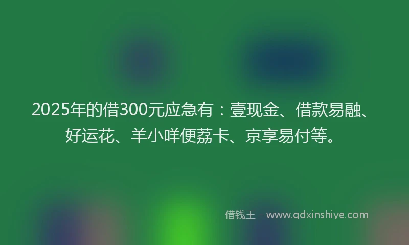 2025年的借300元应急有：壹现金、借款易融、好运花、羊小咩便荔卡、京享易付等。