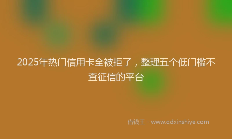 2025年热门信用卡全被拒了，整理五个低门槛不查征信的平台