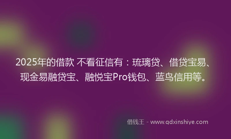 2025年的借款 不看征信有：琉璃贷、借贷宝易、现金易融贷宝、融悦宝Pro钱包、蓝鸟信用等。