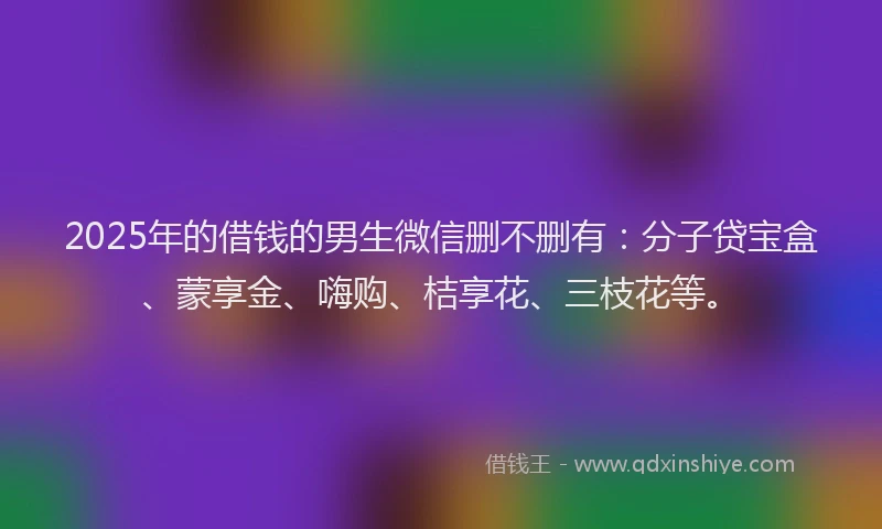 2025年的借钱的男生微信删不删有：分子贷宝盒、蒙享金、嗨购、桔享花、三枝花等。