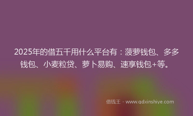 2025年的借五千用什么平台有：菠萝钱包、多多钱包、小麦粒贷、萝卜易购、速享钱包+等。