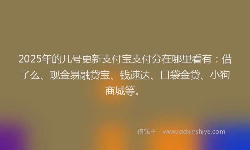 2025年的几号更新支付宝支付分在哪里看有：借了么、现金易融贷宝、钱速达、口袋金贷、小狗商城等。