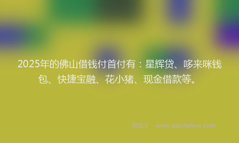 2025年的佛山借钱付首付有：星辉贷、哆来咪钱包、快捷宝融、花小猪、现金借款等。