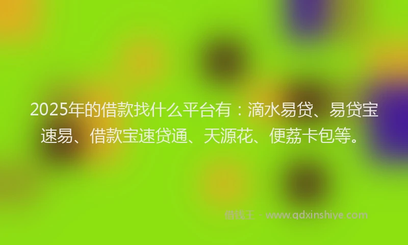 2025年的借款找什么平台有：滴水易贷、易贷宝速易、借款宝速贷通、天源花、便荔卡包等。