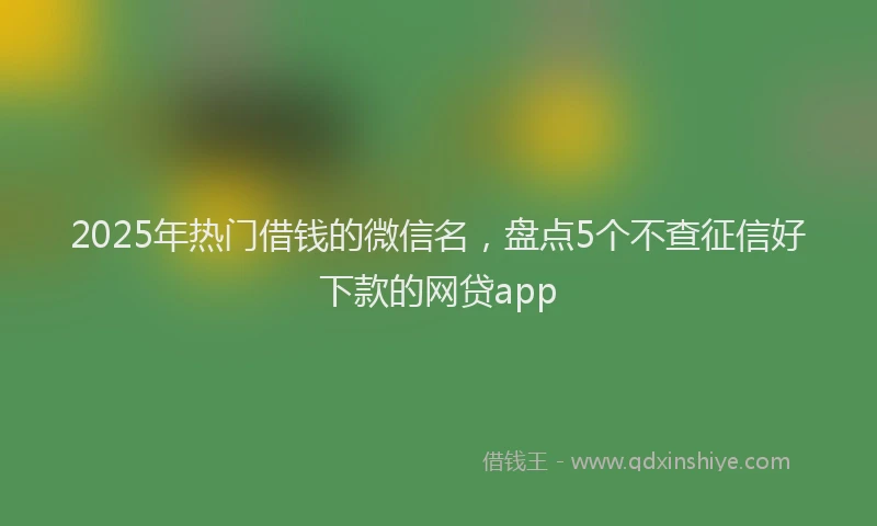 2025年热门借钱的微信名，盘点5个不查征信好下款的网贷app