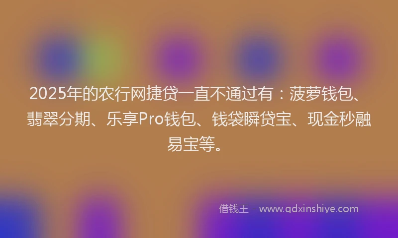 2025年的农行网捷贷一直不通过有：菠萝钱包、翡翠分期、乐享Pro钱包、钱袋瞬贷宝、现金秒融易宝等。