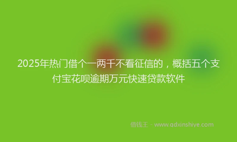 2025年热门借个一两千不看征信的，概括五个支付宝花呗逾期万元快速贷款软件