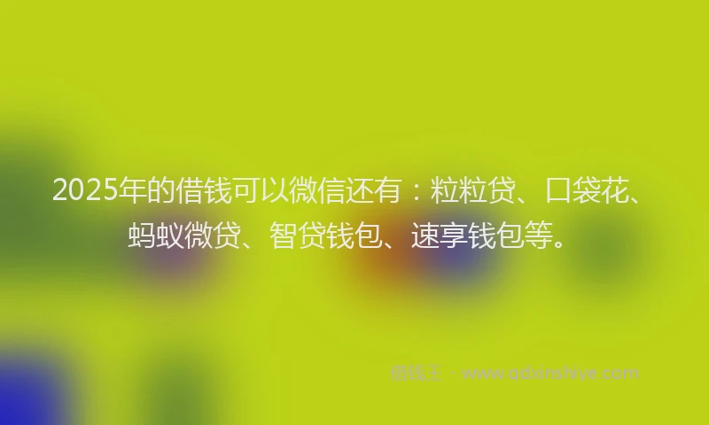 2025年的借钱可以微信还有：粒粒贷、口袋花、蚂蚁微贷、智贷钱包、速享钱包等。