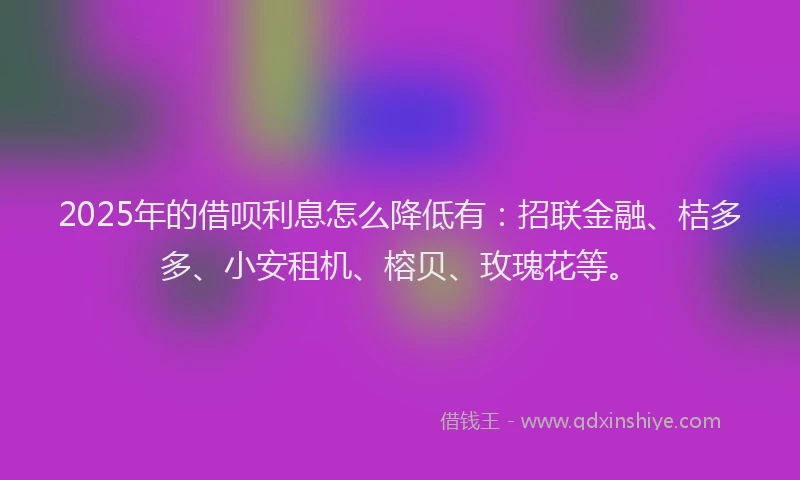 2025年的借呗利息怎么降低有：招联金融、桔多多、小安租机、榕贝、玫瑰花等。