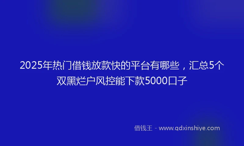 2025年热门借钱放款快的平台有哪些，汇总5个双黑烂户风控能下款5000口子