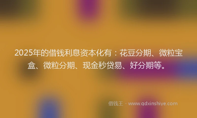 2025年的借钱利息资本化有：花豆分期、微粒宝盒、微粒分期、现金秒贷易、好分期等。