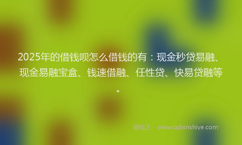 2025年的借钱呗怎么借钱的有：现金秒贷易融、现金易融宝盒、钱速借融、任性贷、快易贷融等。