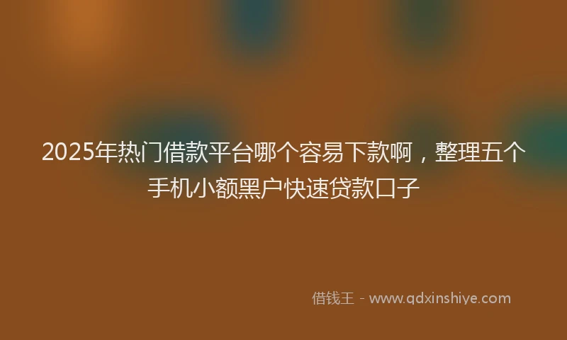 2025年热门借款平台哪个容易下款啊，整理五个手机小额黑户快速贷款口子