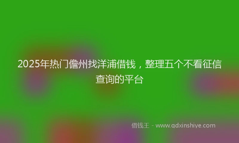 2025年热门儋州找洋浦借钱，整理五个不看征信查询的平台