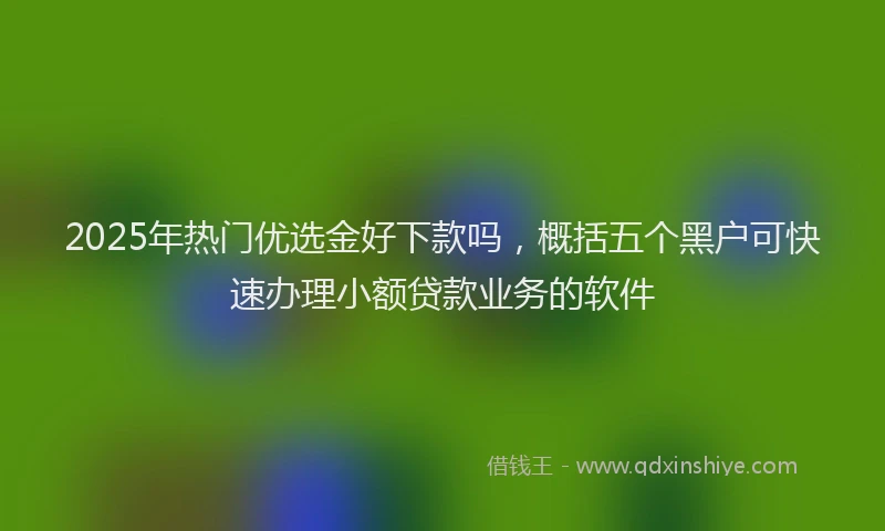 2025年热门优选金好下款吗，概括五个黑户可快速办理小额贷款业务的软件