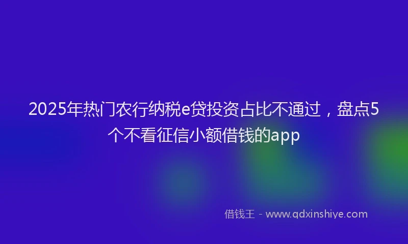 2025年热门农行纳税e贷投资占比不通过，盘点5个不看征信小额借钱的app