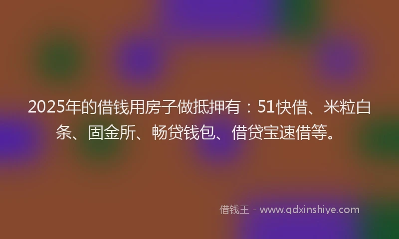2025年的借钱用房子做抵押有：51快借、米粒白条、固金所、畅贷钱包、借贷宝速借等。