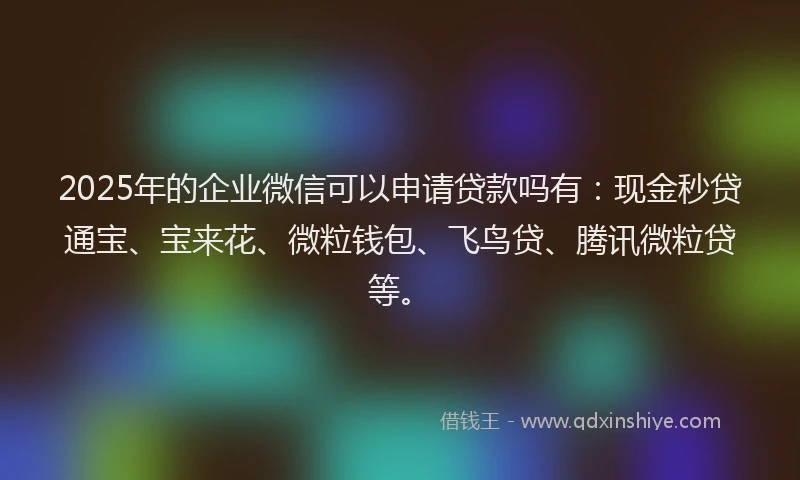 2025年的企业微信可以申请贷款吗有：现金秒贷通宝、宝来花、微粒钱包、飞鸟贷、腾讯微粒贷等。