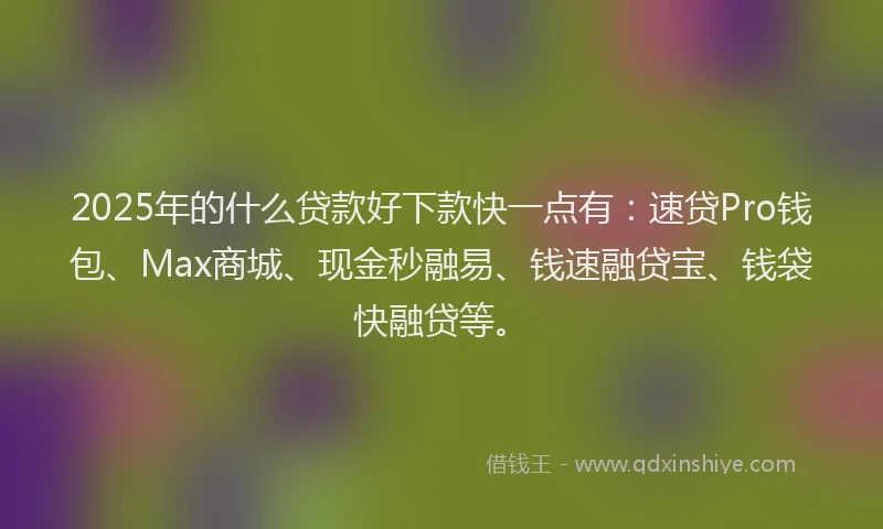 2025年的什么贷款好下款快一点有：速贷Pro钱包、Max商城、现金秒融易、钱速融贷宝、钱袋快融贷等。