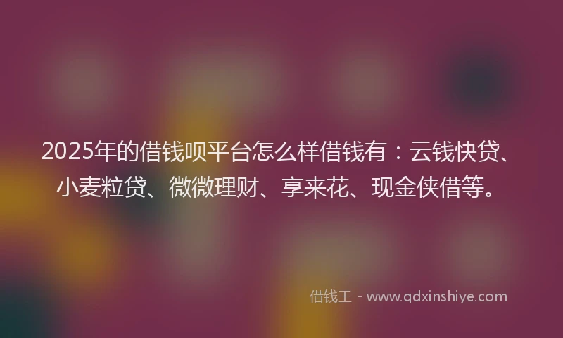 2025年的借钱呗平台怎么样借钱有：云钱快贷、小麦粒贷、微微理财、享来花、现金侠借等。