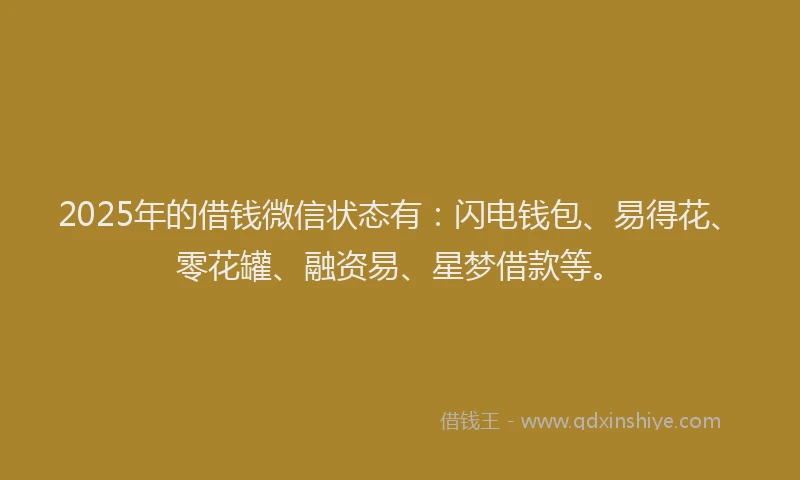 2025年的借钱微信状态有：闪电钱包、易得花、零花罐、融资易、星梦借款等。