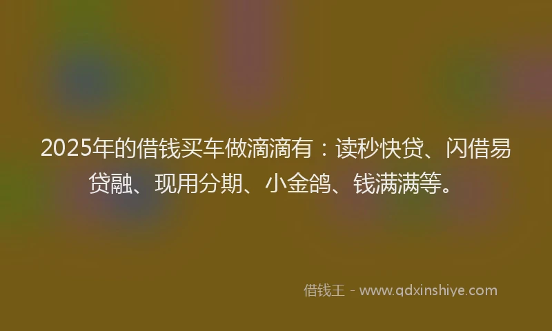 2025年的借钱买车做滴滴有：读秒快贷、闪借易贷融、现用分期、小金鸽、钱满满等。